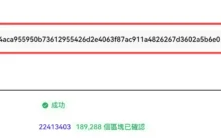 哈希值全解析：加密货币世界的数字指纹与查询指南