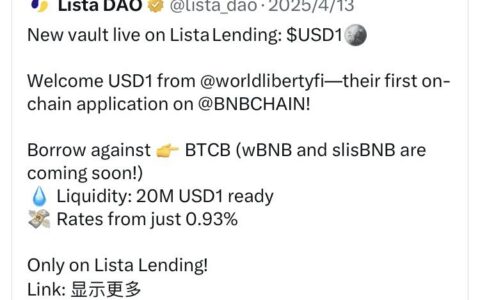 闲置USDT理财新选择：Lista Dao协议实现10%年化收益的完整教程