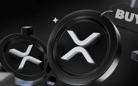 2025年最佳XRP钱包终极指南：安全存储与交易全攻略