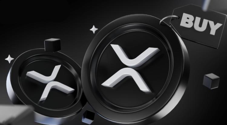 XRP钱包概览图