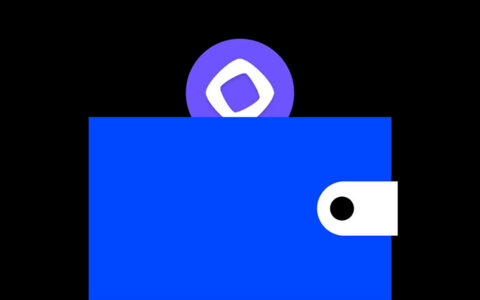 Monad链接入MetaMask全攻略：安全连接高性能Layer-1网络