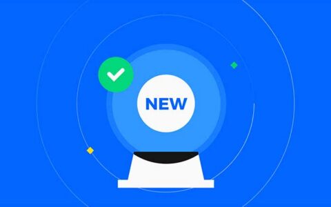 深度解析：七大新币发行模式与项目研究全攻略