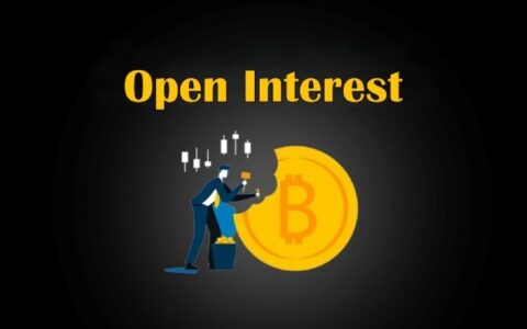 未平仓合约深度解析：加密货币衍生品市场的资金流向指南