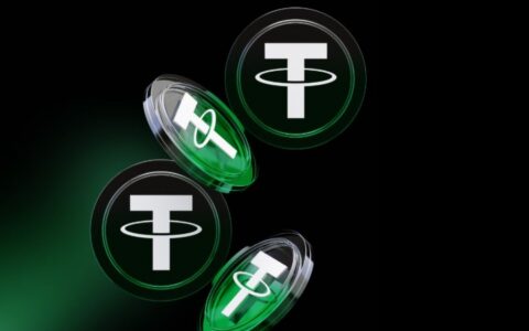 深度解析：新U底池——加密货币DeFi生态的核心流动性机制