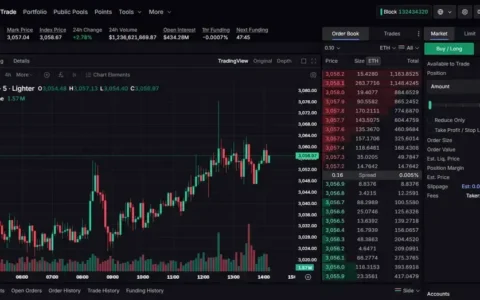 Lighter vs Hyperliquid：两大永续合约DEX深度对比，谁才是交易者的最佳选择？