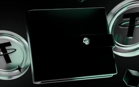 TRC20钱包终极指南：2026年五大最佳选择与安全策略