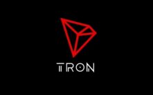 TRX交易记录查询全攻略：从新手到进阶的波场链转账追踪指南