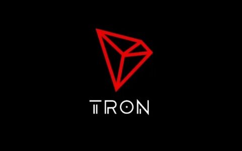 TRX交易记录查询全攻略：从新手到进阶的波场链转账追踪指南