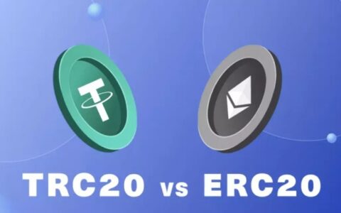 深度解析：ERC20与TRC20代币标准的全面对比与选择指南