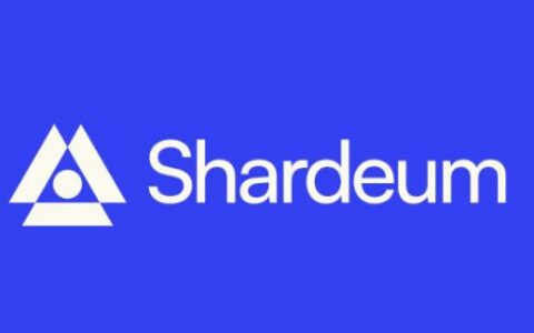 Shardeum(SHM)深度解析：动态分片公链如何破解区块链三难困境