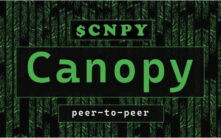 Canopy Network深度解析：下一代自主应用链平台的创新架构与代币经济