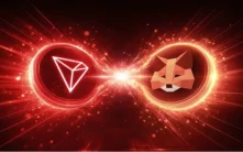 MetaMask现已支持波场网络：完整添加指南与钱包对比分析