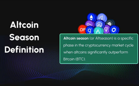 山寨币季深度解析：市场周期演变与投资策略全指南