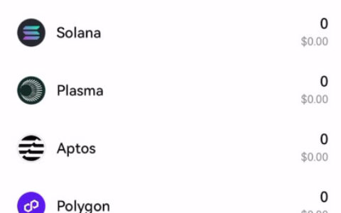 USDT钱包安全指南：OKX Web3钱包完整使用教程与资产转移流程