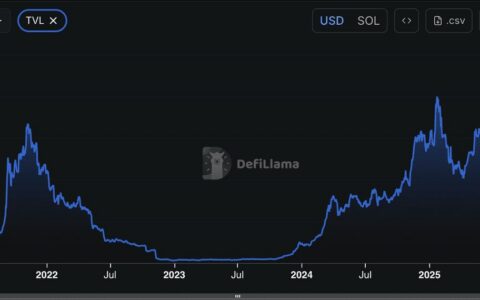 Solscan完全指南：掌握Solana区块链浏览器的核心功能与实战应用