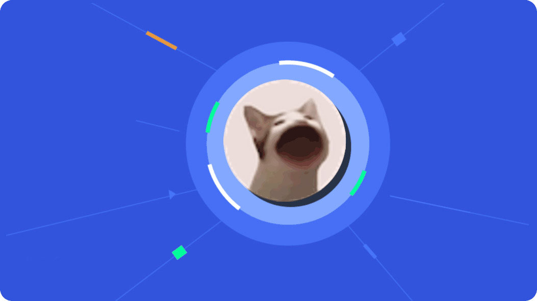 POPCAT币介绍