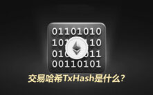 交易哈希TxHash全解析：加密货币转账查账必备指南