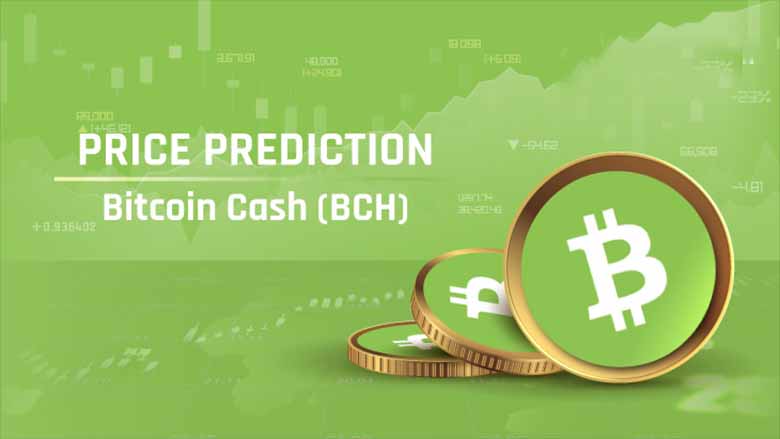 比特币现金2026年展望：量子安全与智能合约升级能否推动BCH突破850美元？