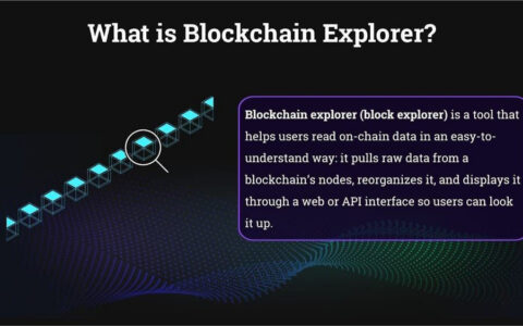 区块链浏览器完全指南：从入门到精通，掌握链上数据查询核心技能