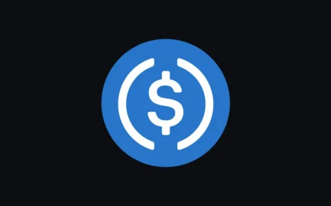 USDC完全指南：微信支付宝安全购买稳定币的终极教程