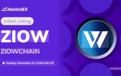 ZIOWCHAIN深度解析：AI驱动的Layer 1区块链新星，投资价值几何？