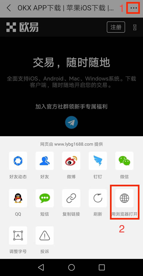 浏览器打开选项