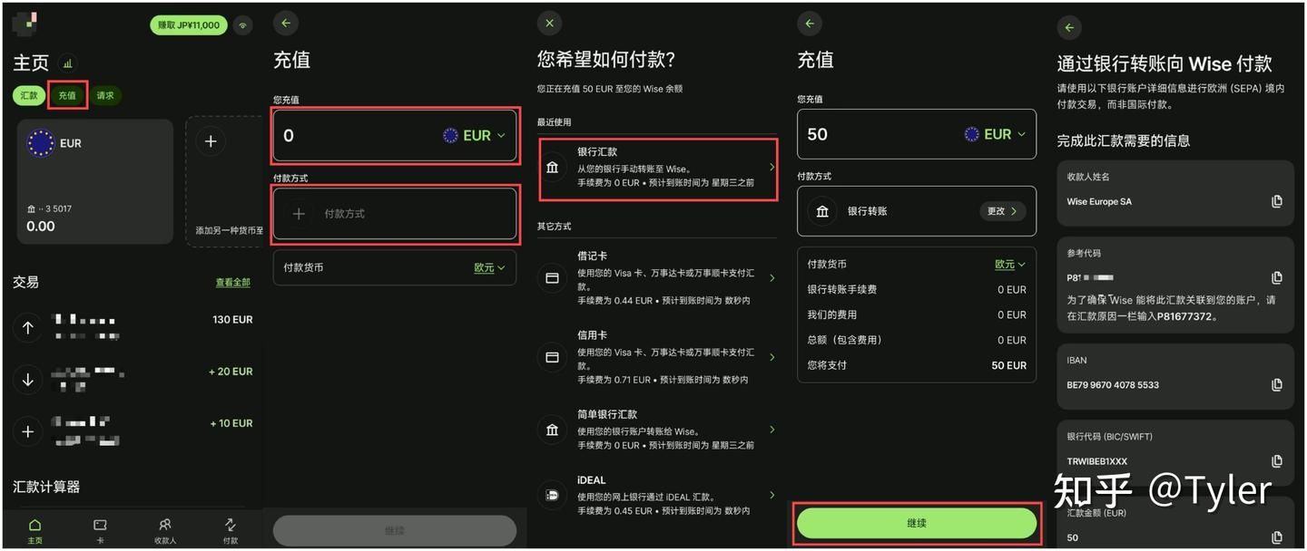 Wise充值界面