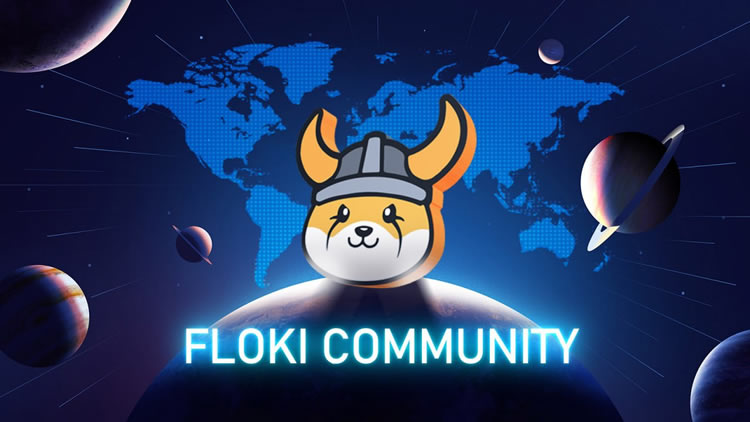 FLOKI币价格分析图表