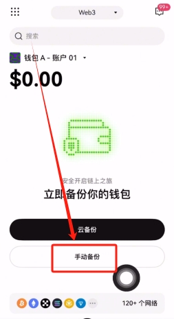 手动备份选项
