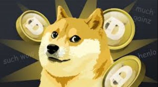 狗狗币标志展示