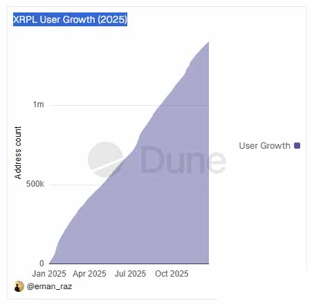 XRPL 用户增长趋势 (2025)