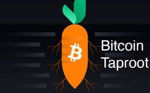 Taproot地址深度解析：比特币革命性升级如何重塑数字资产生态