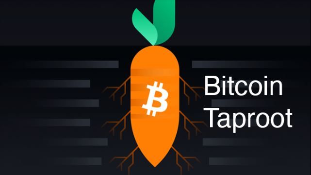 Taproot地址是什么?比特币最新地址格式与实际用途解析
