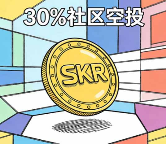 SKR30%空投向社区