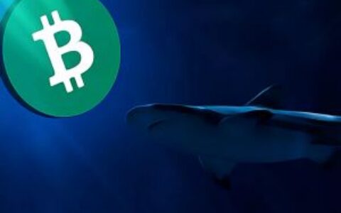 巴西立法者推动建立国家级比特币战略储备