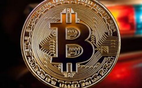 因10枚比特币被冻结而维权，中文暗网“FreeCity”运营商身份意外曝光