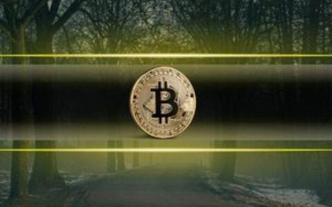 币安报告：比特币50%跌幅堪称“温和”，市场成熟度提升