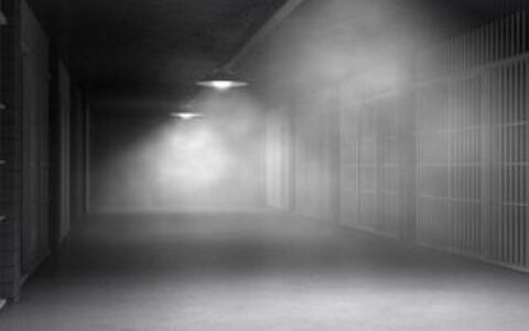 SafeMoon丑闻落幕：前CEO因数百万美元欺诈案被判8年监禁