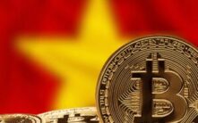 越南加密货币市场遭遇意外挫折：从繁荣到寒冬的转变