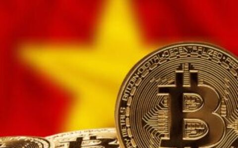 越南加密货币市场遭遇意外挫折：从繁荣到寒冬的转变