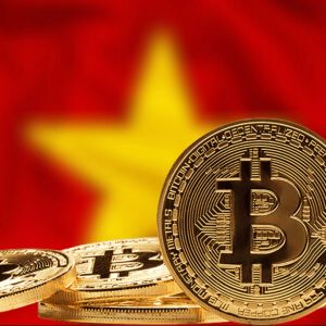 越南加密货币市场