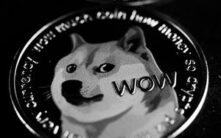 Memecoin市场或现崩盘迹象，Santiment警告：投降信号已现