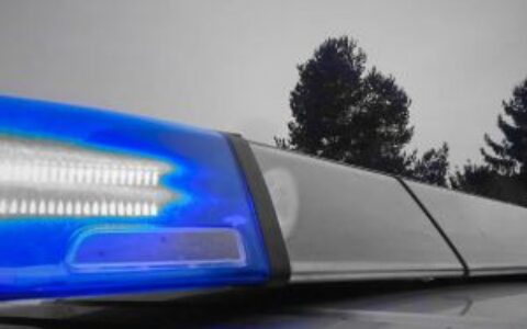 印度警方一周内逮捕六名加密货币诈骗嫌疑人，追回近170万卢比