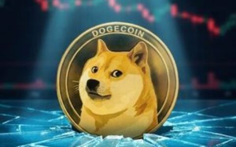 狗狗币（DOGE）回吐涨幅，关键支撑位0.10美元成焦点