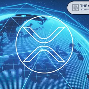 XRP链上数据