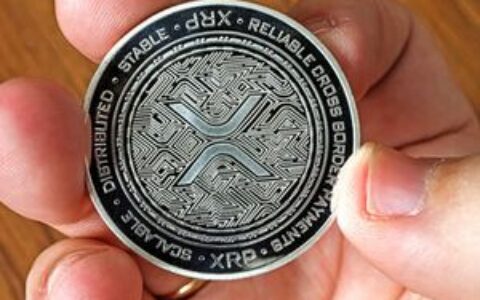 SBI Holdings真的购买了100亿美元XRP吗？CEO亲自揭晓真实数据