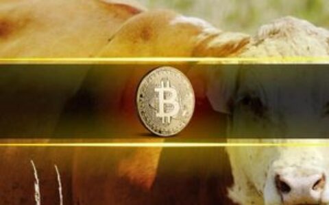 比特币下一轮牛市取决于这一关键链上指标：长期持有者何时陷入亏损？