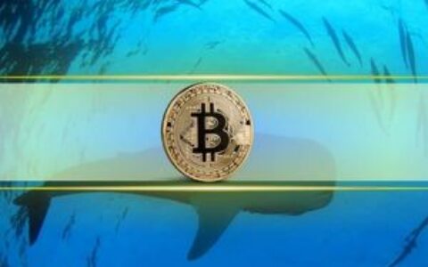 比特币鲸鱼趁低吸纳：BTC价格重返2024年入场区域，大额持有者持续积累