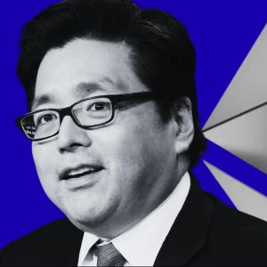 加密货币市场分析