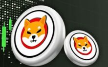 专家观点：当前市场恐惧或为柴犬币今年历史性反弹奠定基础